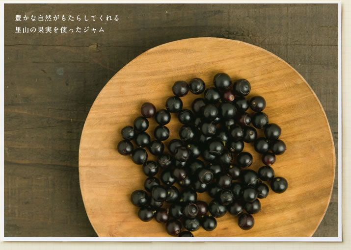 豊かな自然がもたらしてくれる里山の果実を使ったジャム